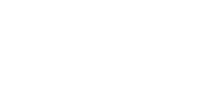 DAN-FORM